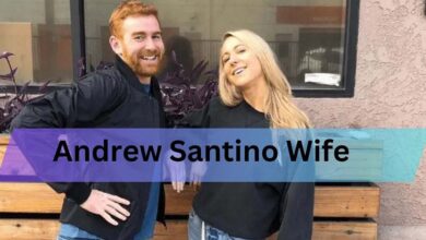 andrew santino wife