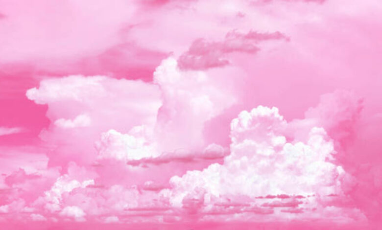 pink:gdxr6qp7qy0= wallpaper