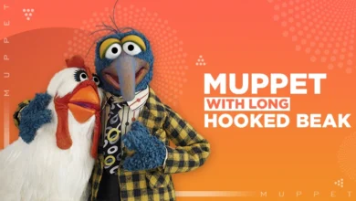 muppet with long hooked beakmuppet with long hooked beak