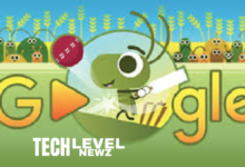 google doodle cricket