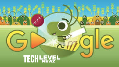 google doodle cricket