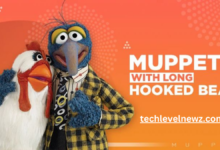 muppet with long hooked beak