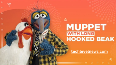 muppet with long hooked beak